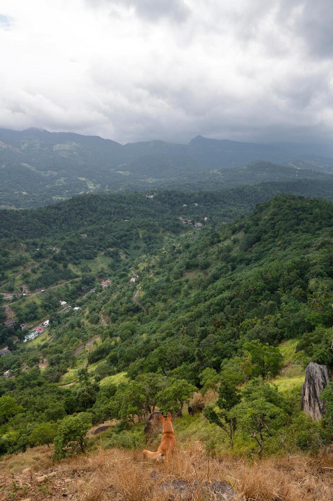 Kandy Victoria Eco Resort Eksteriør bilde