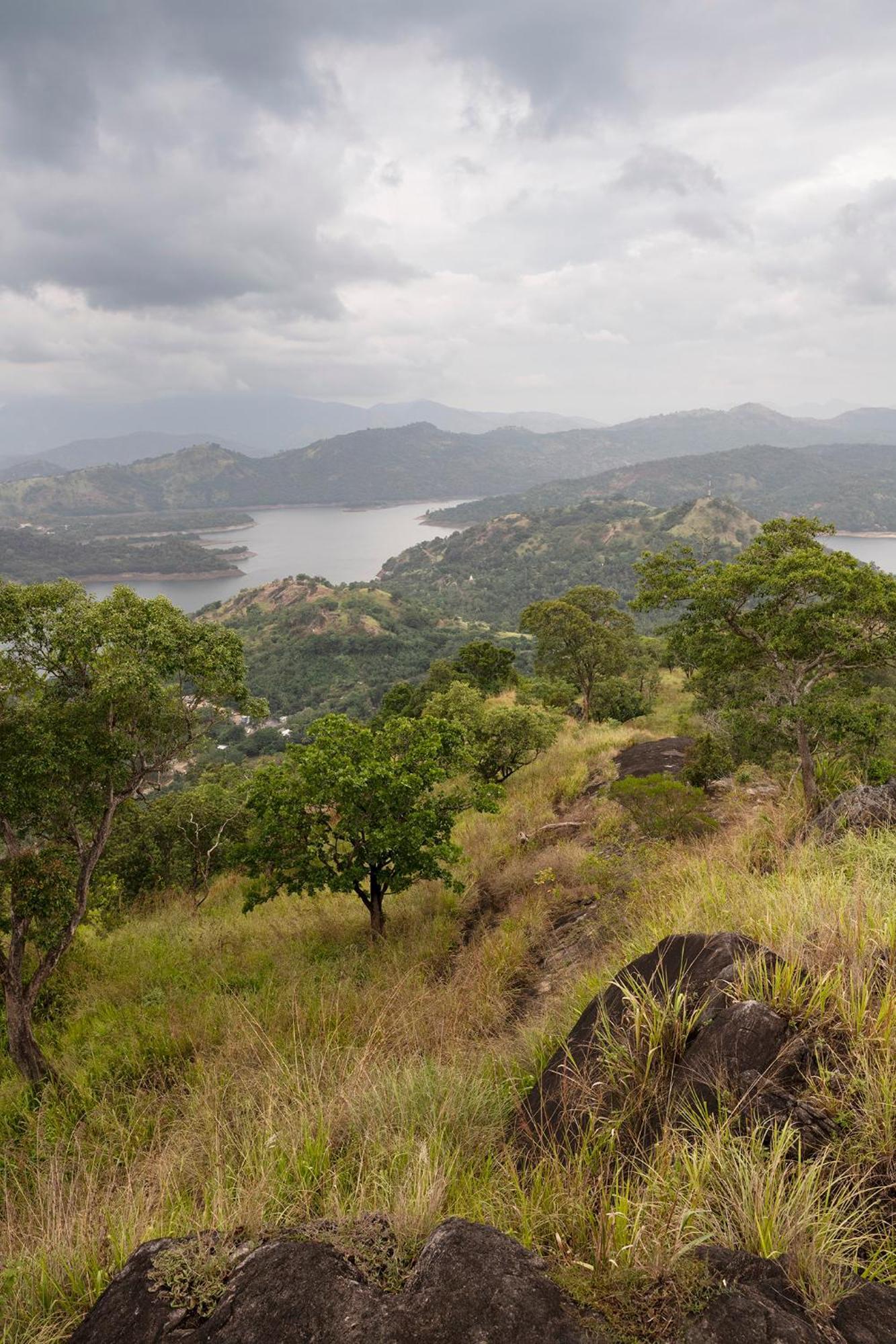 Kandy Victoria Eco Resort Eksteriør bilde